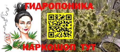 прущие крисы Заводоуковск